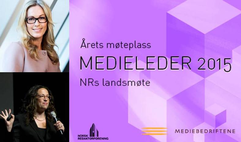 1Medielederamyanita