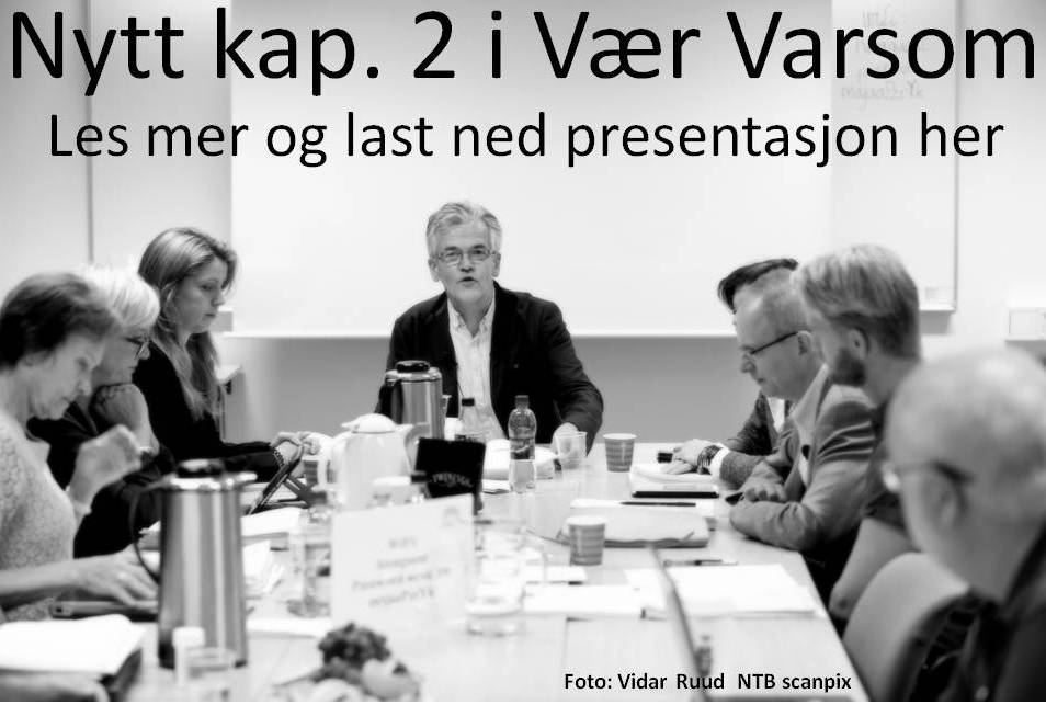 bildevvp